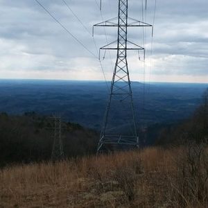 Meet your Posher, Kaylie